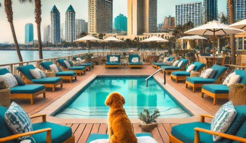 dog-friendly hotels San Diego