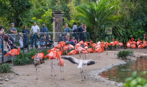 national zoo of malaysia tickets